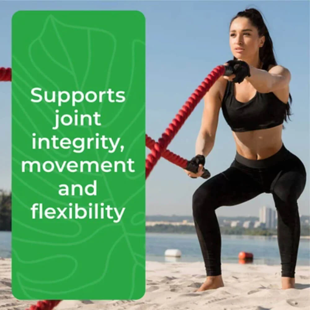 Joint Support Supplement Tablets - Image 6