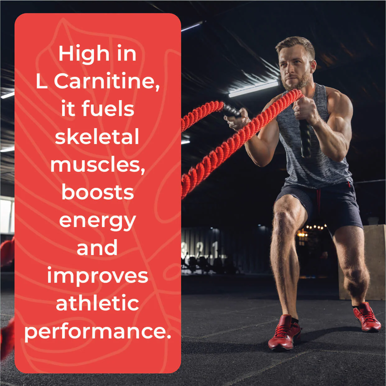 L-Carnitine L-Tartrate 1000mg supplement Tablets - Image 6